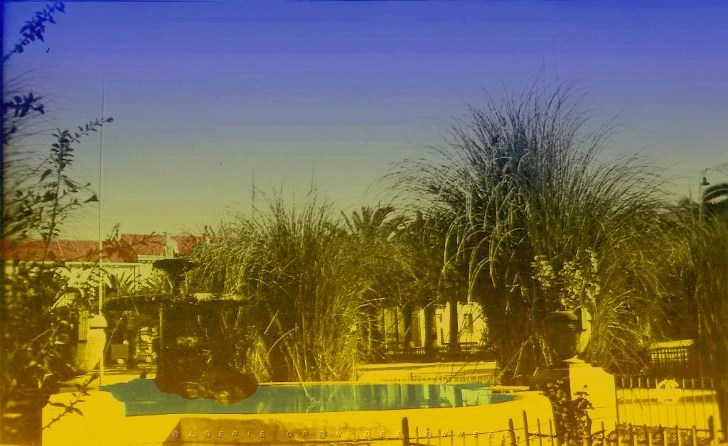 RIO SALADO 517  PLACE MILHE POUTINGON.jpg